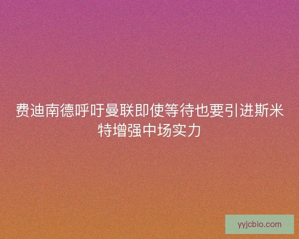 费迪南德呼吁曼联即使等待也要引进斯米特增强中场实力 费迪南德呼吁曼联即使等待也要引进斯米特增强中场实力